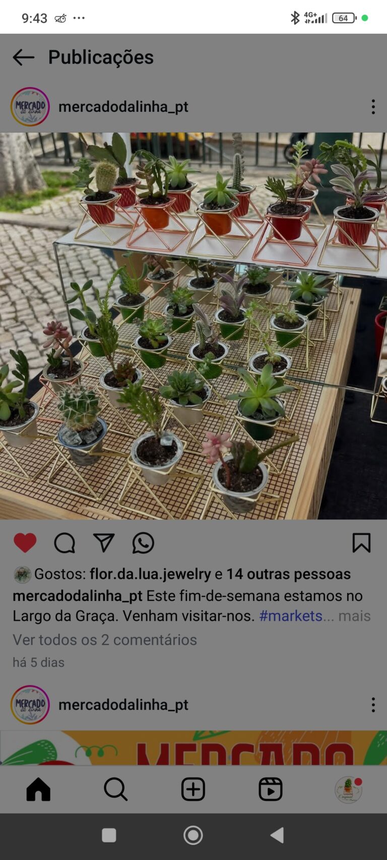 foto_3