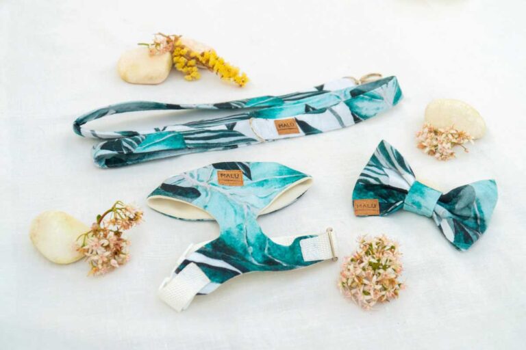 1586176945_conjunto-panari