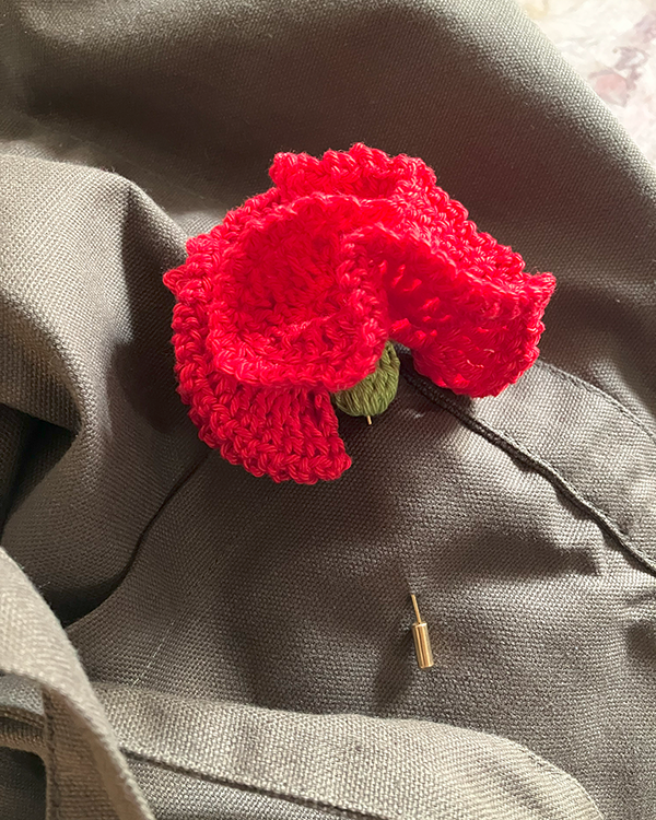 cravos-de-portugal-4