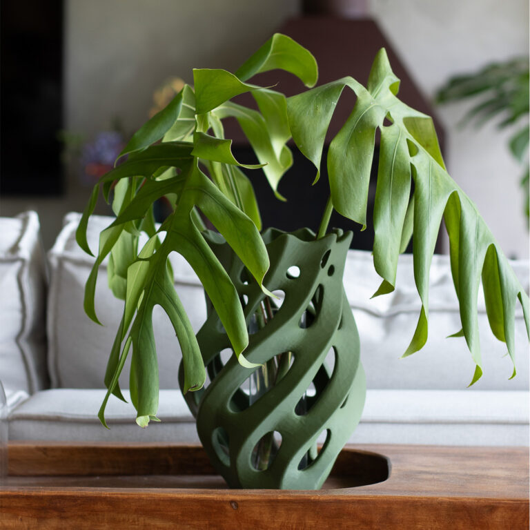 OBLIQUA_TIDU_HOME_QUADRADA