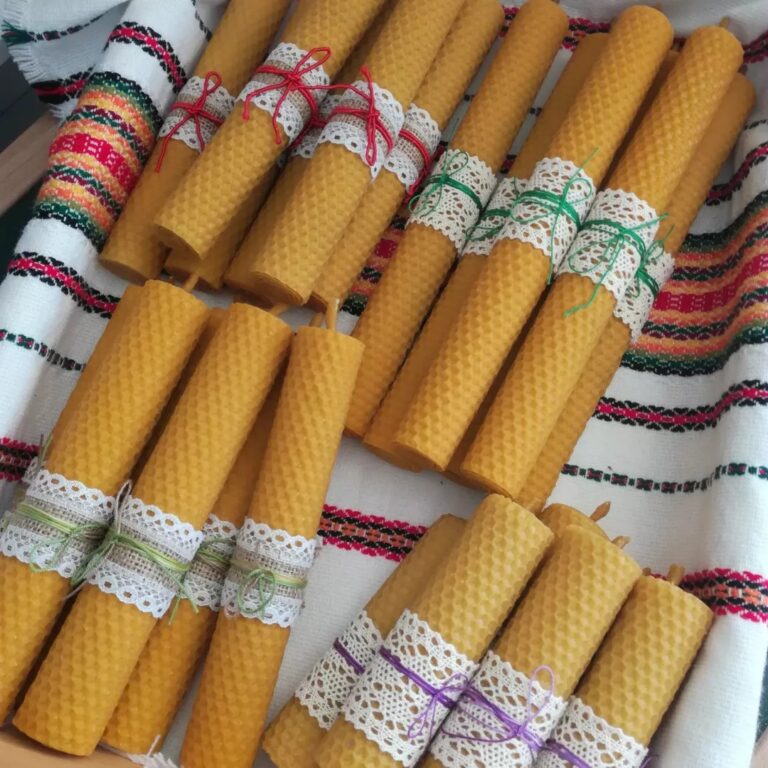 485106048_2439019963108917_400244282068956066_n